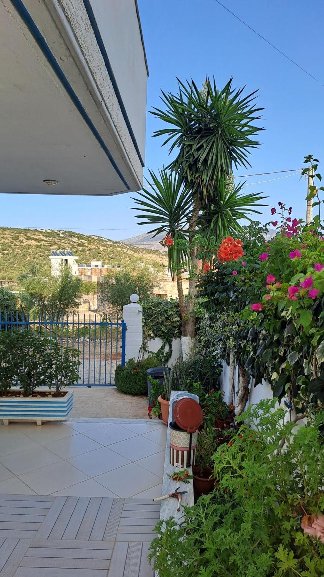 Hotel Vila Ali كساميل المظهر الخارجي الصورة